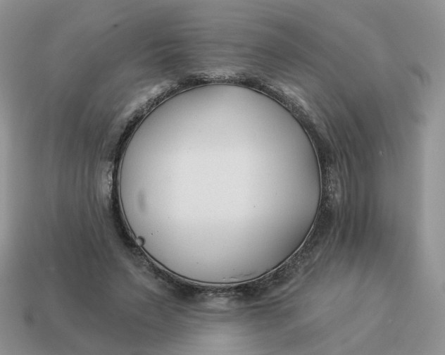 X0000114510495200911091133