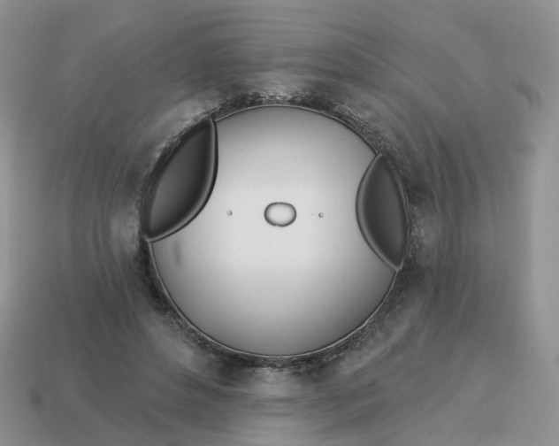 X0000114510496200911091133