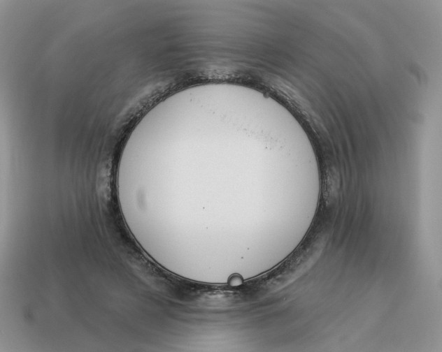 X0000114510497200911091133