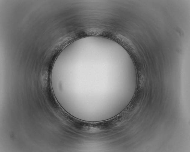 X0000114510498200911091133