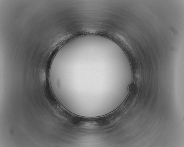 X0000114510500200911091133