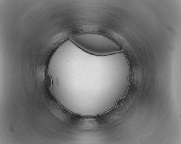 X0000114510501200911091133