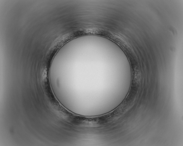 X0000114510502200911091133