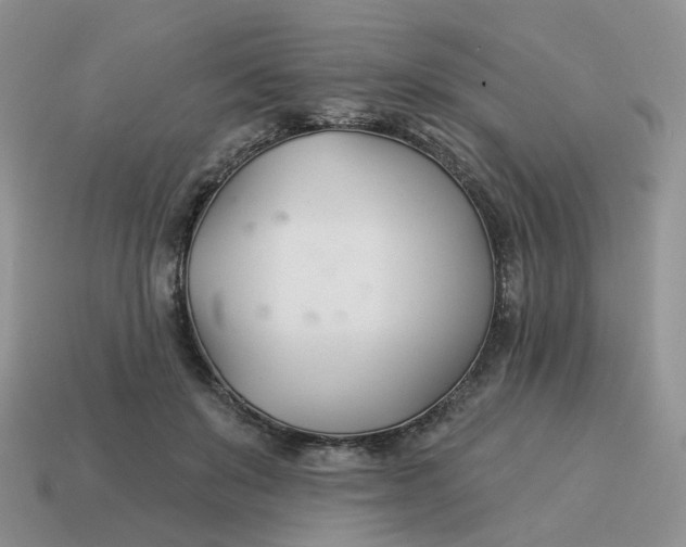 X0000114510503200911091133