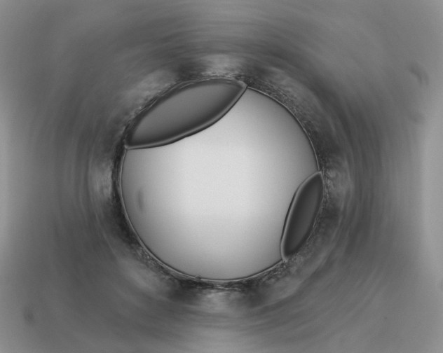 X0000114510504200911091133