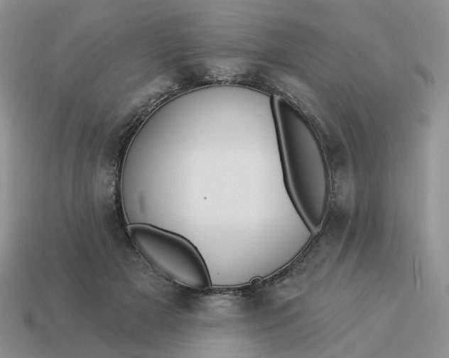 X0000114510505200911091133