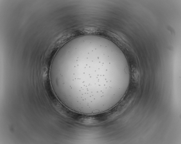 X0000114510507200911091133