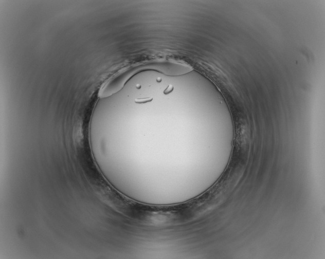 X0000114510508200911091132