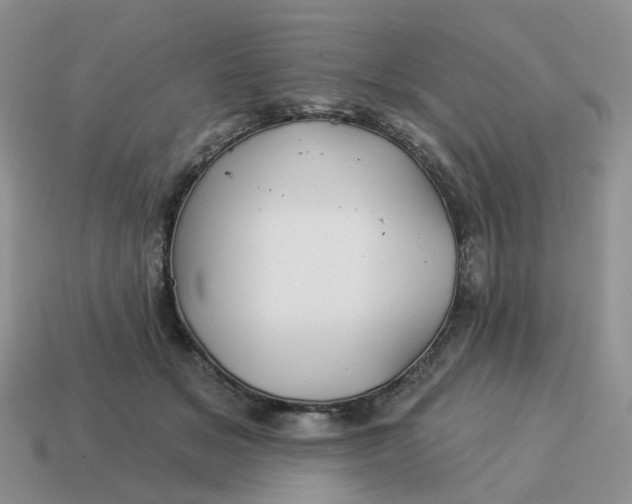 X0000114510509200911091132