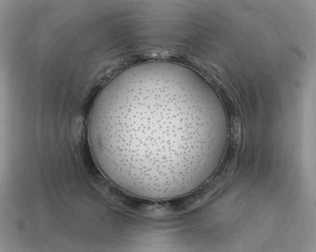 X0000114510511200911091132