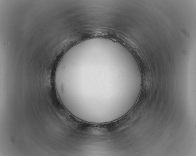 X0000114510512200911091132