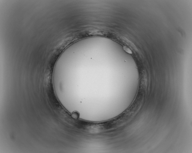 X0000114510513200911091132