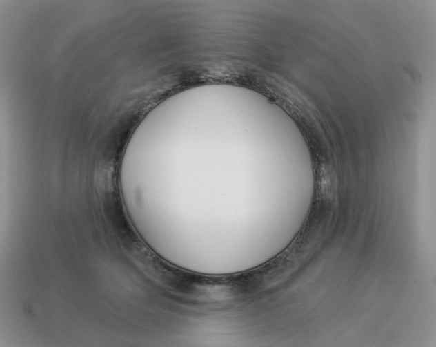 X0000114510514200911091132