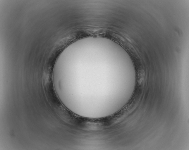 X0000114510515200911091132