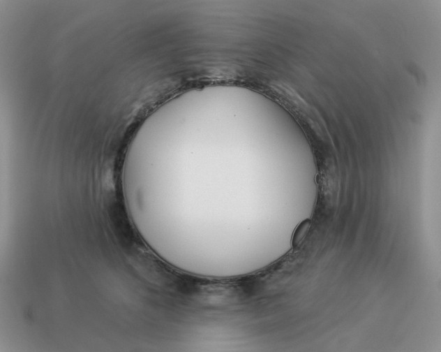 X0000114510516200911091132