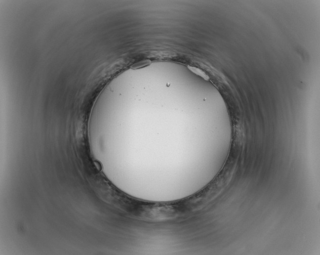 X0000114510517200911091132