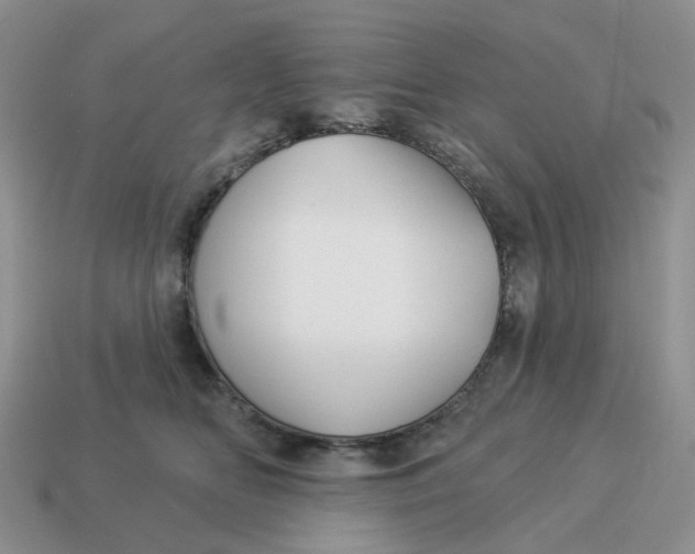 X0000114510518200911091132