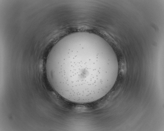 X0000114510519200911091132