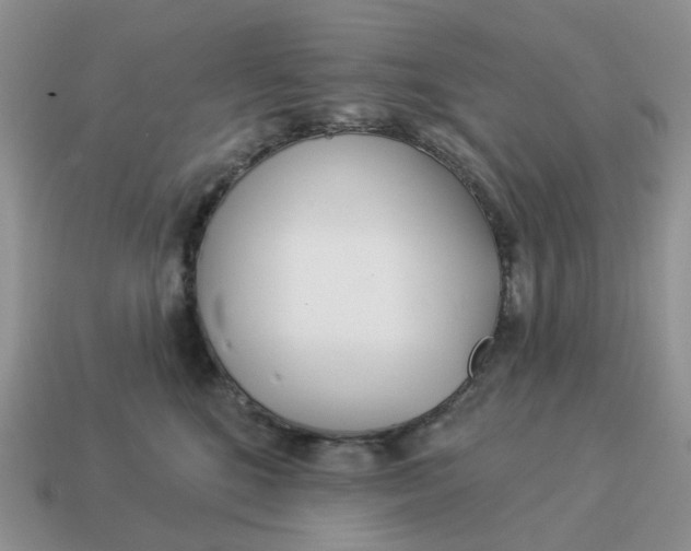 X0000114510520200911091132