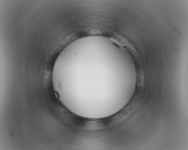 X0000114510521200911091132