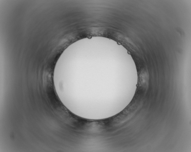 X0000114510522200911091132