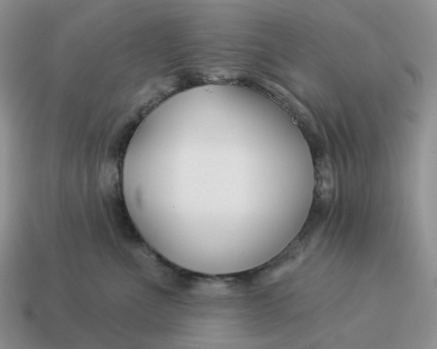 X0000114510523200911091132