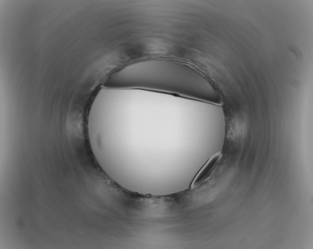 X0000114510524200911091132