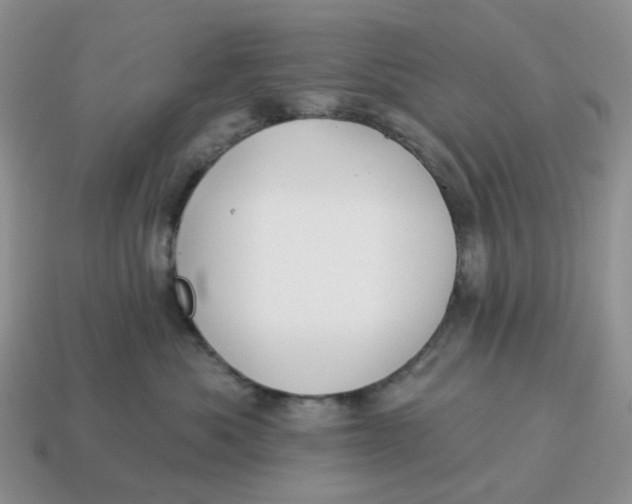 X0000114510525200911091132