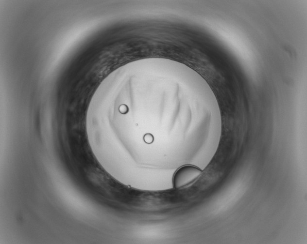 X0000114510526200911091132