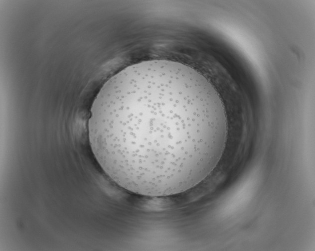 X0000114510527200911091132