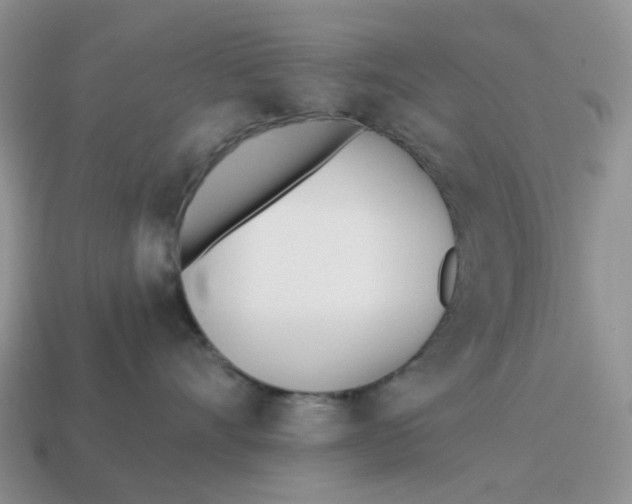 X0000114510528200911091132