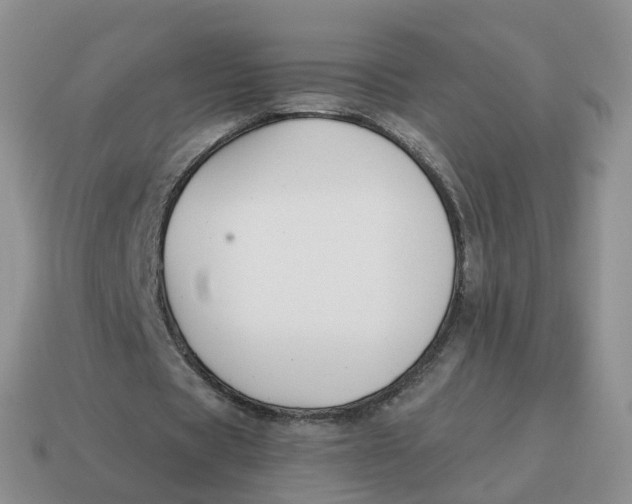 X0000114510529200911091132