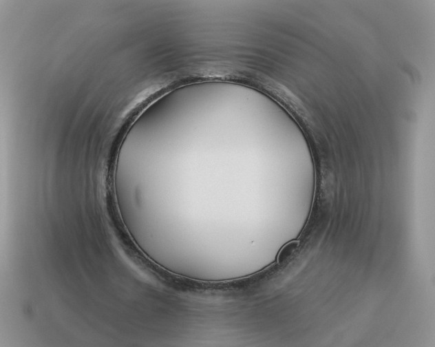 X0000114510530200911091132