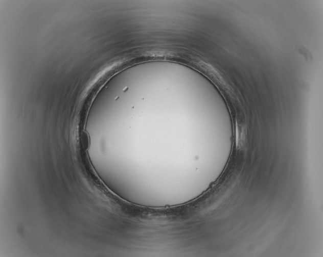 X0000114510531200911091132