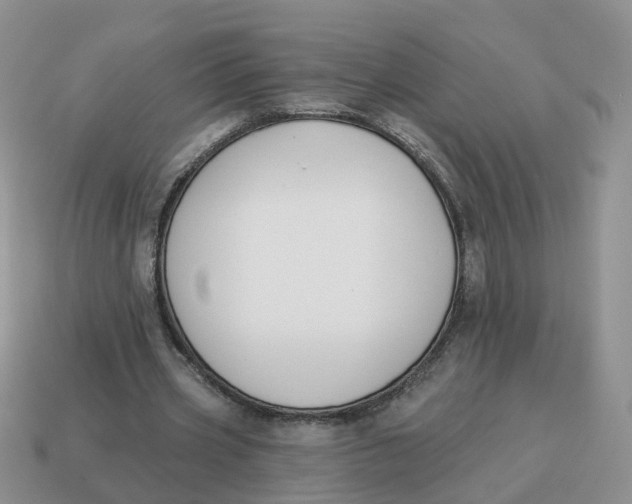 X0000114510533200911091132