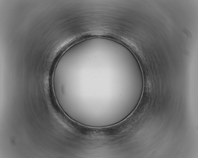 X0000114510535200911091132