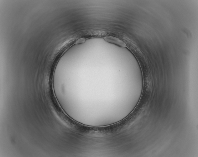 X0000114510538200911091132