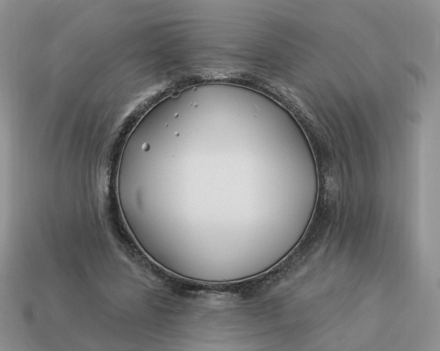 X0000114510539200911091132