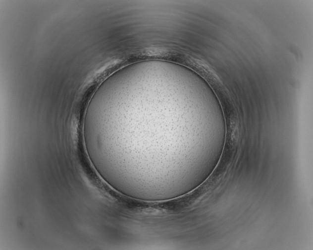 X0000114510542200911091132