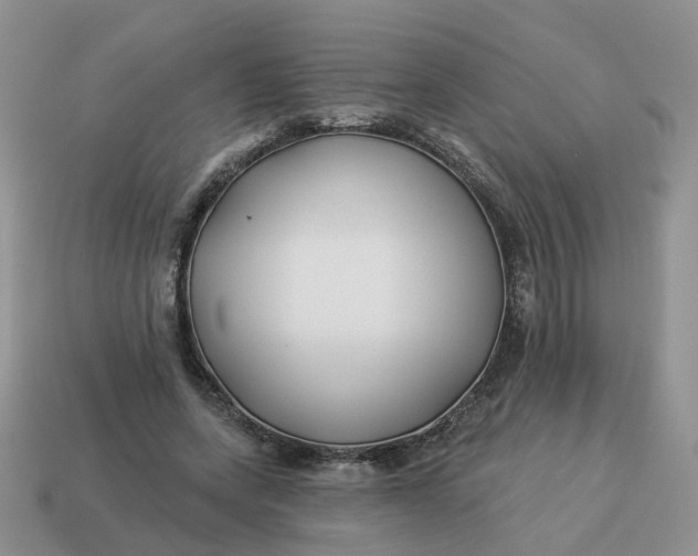 X0000114510543200911091132