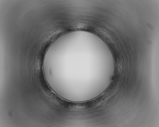 X0000114510546200911091132