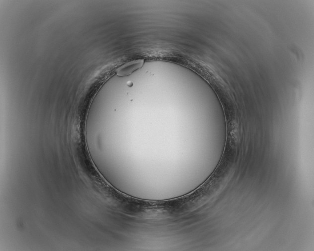 X0000114510547200911091132