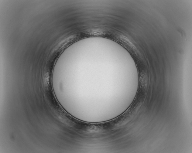 X0000114510549200911091132