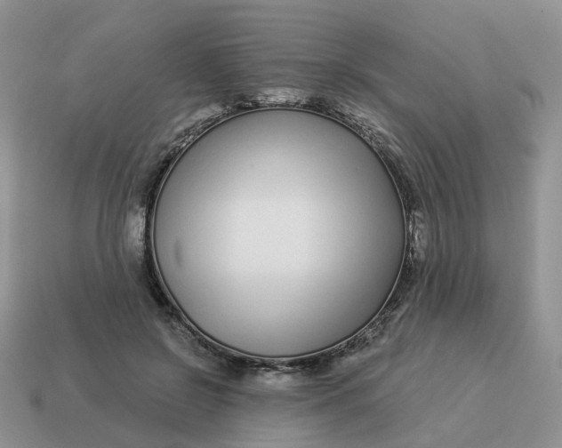 X0000114510550200911091132