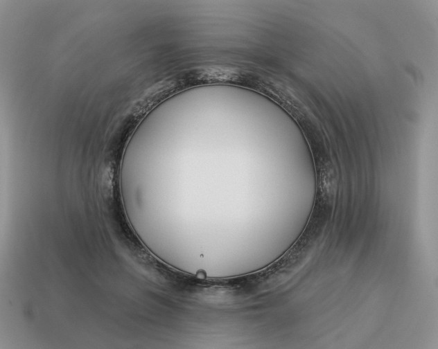 X0000114510551200911091132