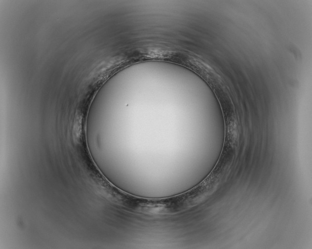 X0000114510554200911091132