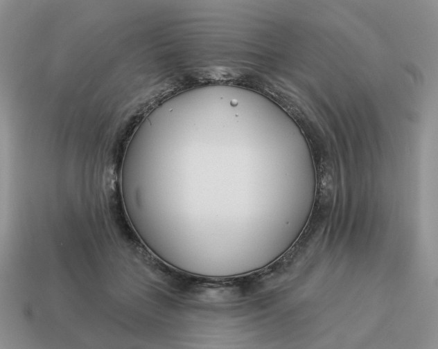 X0000114510555200911091132