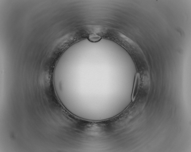 X0000114510558200911091132