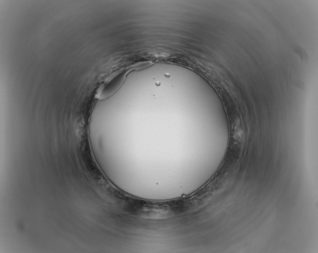 X0000114510559200911091132