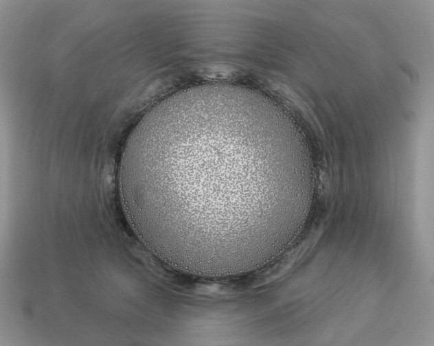 X0000114510561200911091132